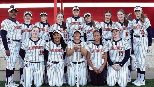Area students earn All-District honors