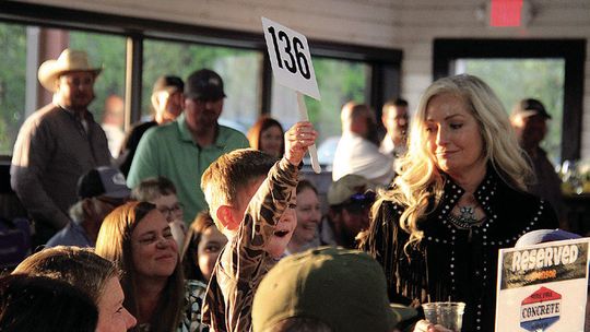 Auction ropes in $75K for ag