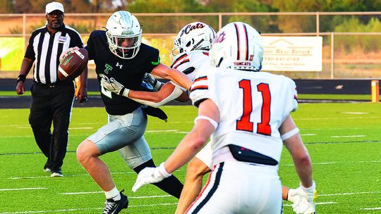 Bulldogs take Tom Cats to cleaners