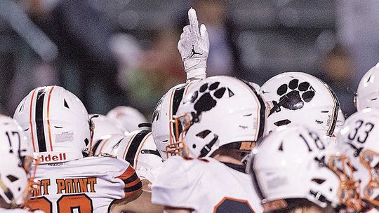 'Cats set to grow
