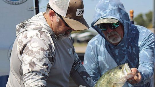 Chamber hooks anglers