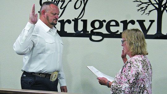 Council names interim chief