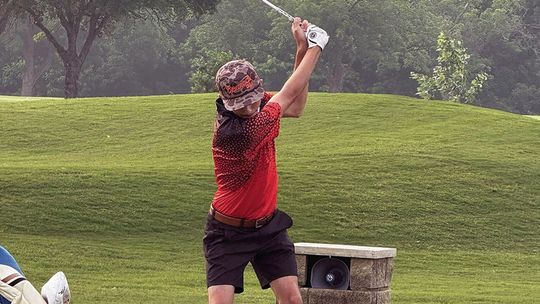 Elite swing