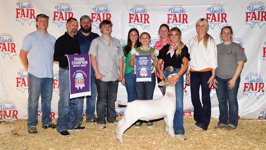 FFAs place high at county show