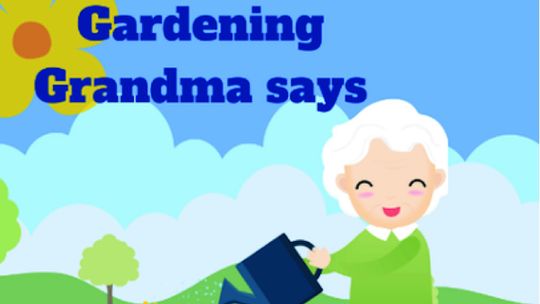 Gardening Grandma answers about pest control