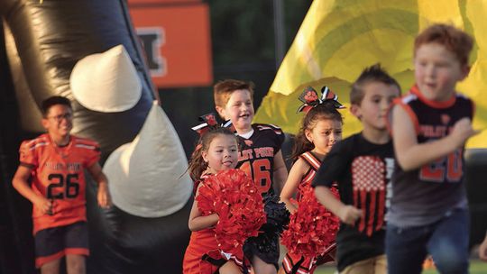 Go Little Cats