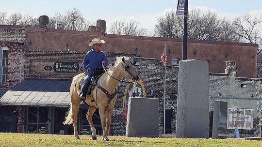 Horse Country on display