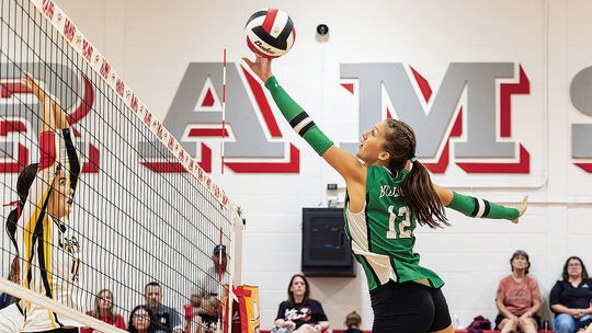 Lady Bulldogs notch win against S&S