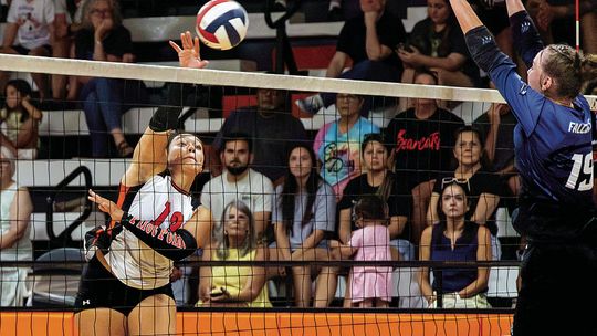 Lady Cats down Lady Falcons