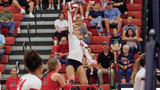 Lady Chaps down Lady Lions