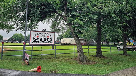Lions find new home