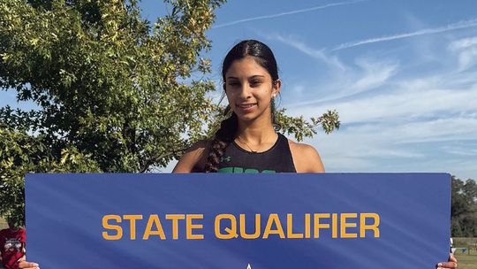 Runners advance to state