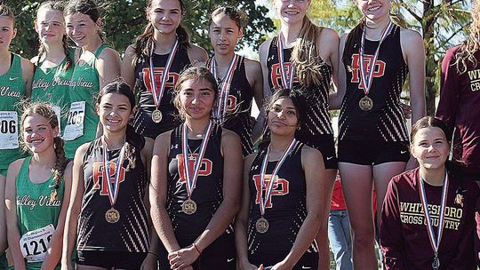 Runners bound for state race