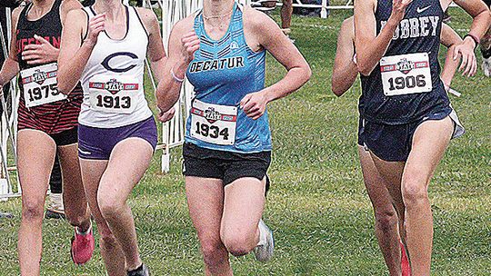 Runners finish across board