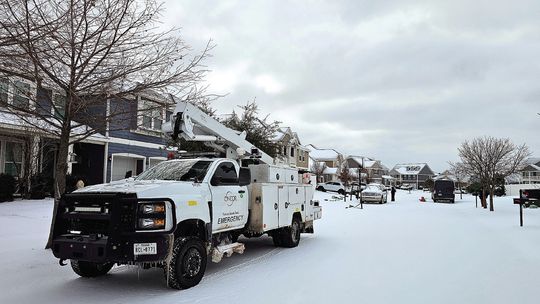 Snow place like home