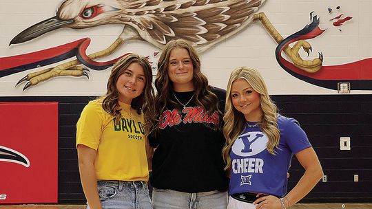 Three Lady Chaps sign