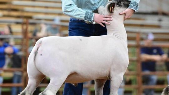 Tioga FFA works to build up program