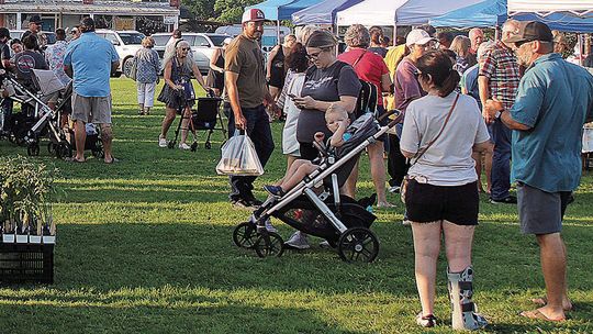 Tioga kicks off market