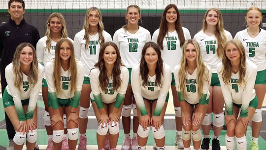 Tioga volleyball earns high district honors