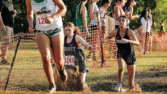 Tougher than mud