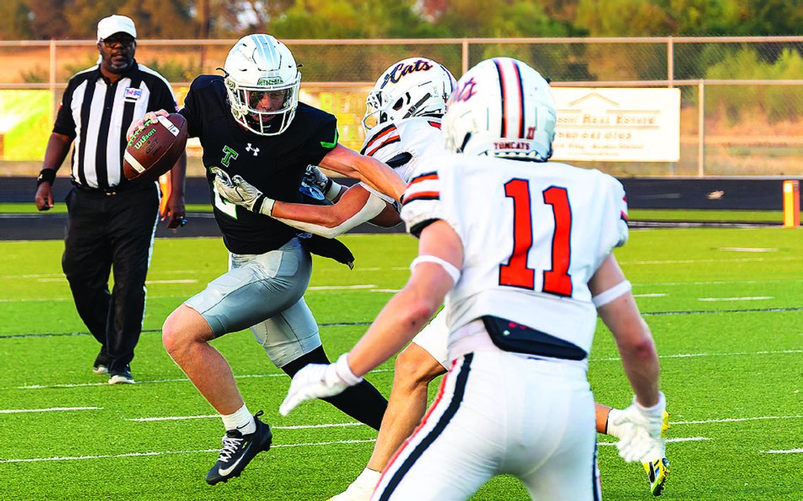 Bulldogs take Tom Cats to cleaners