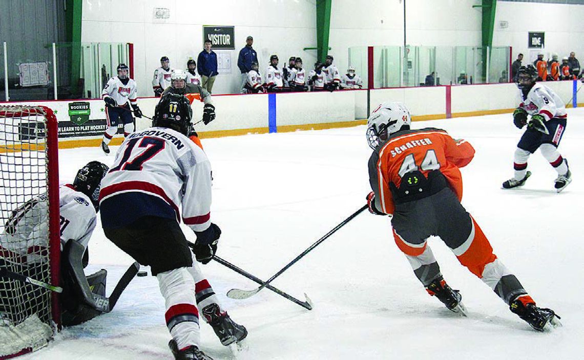 Celina hockey returns to win column