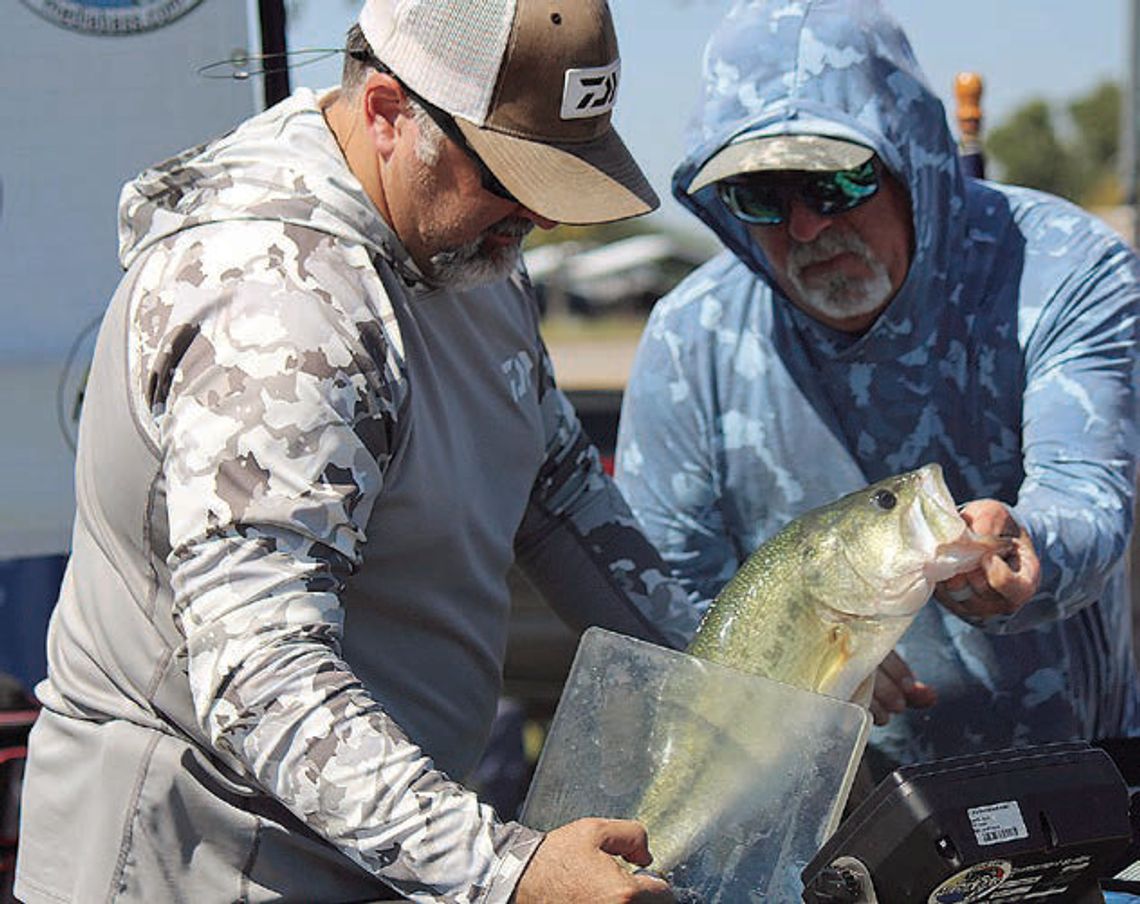 Chamber hooks anglers