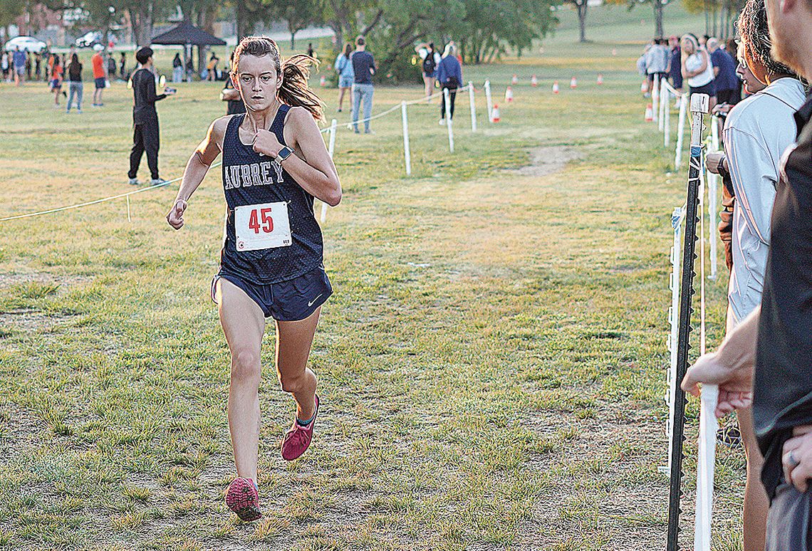 Chaps, Dogs on the run