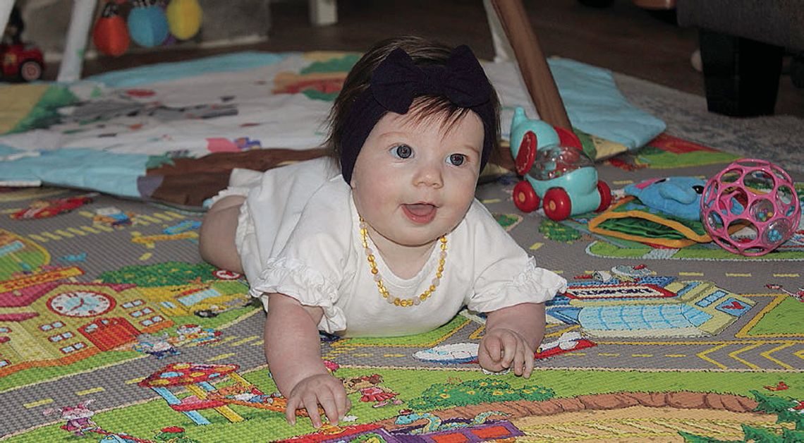 Clay family looks to secure Baby of Year Clay family looks to secure Baby of Year