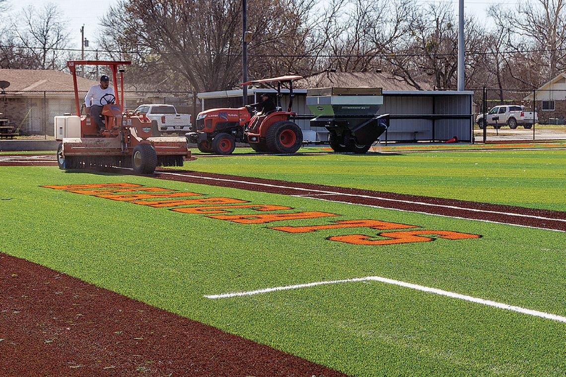 Field of Bearcat dreams