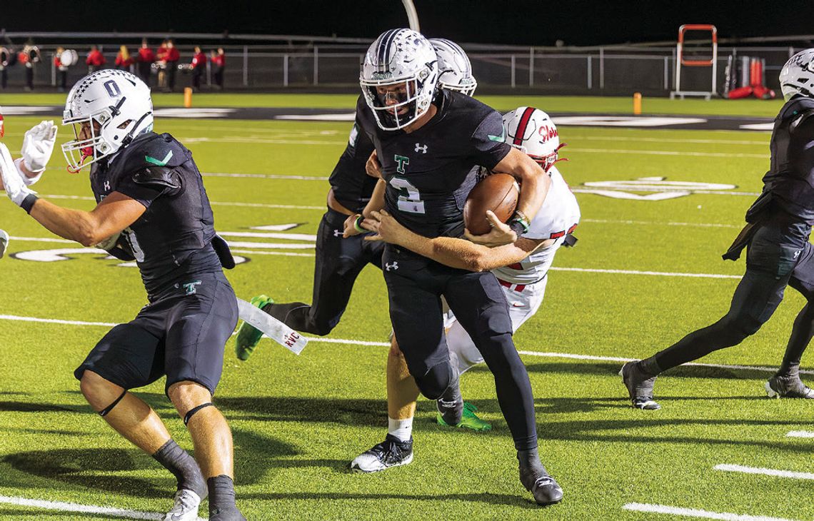 Hornets sting Bulldogs Hornets sting Bulldogs