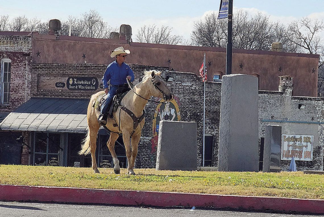 Horse Country on display