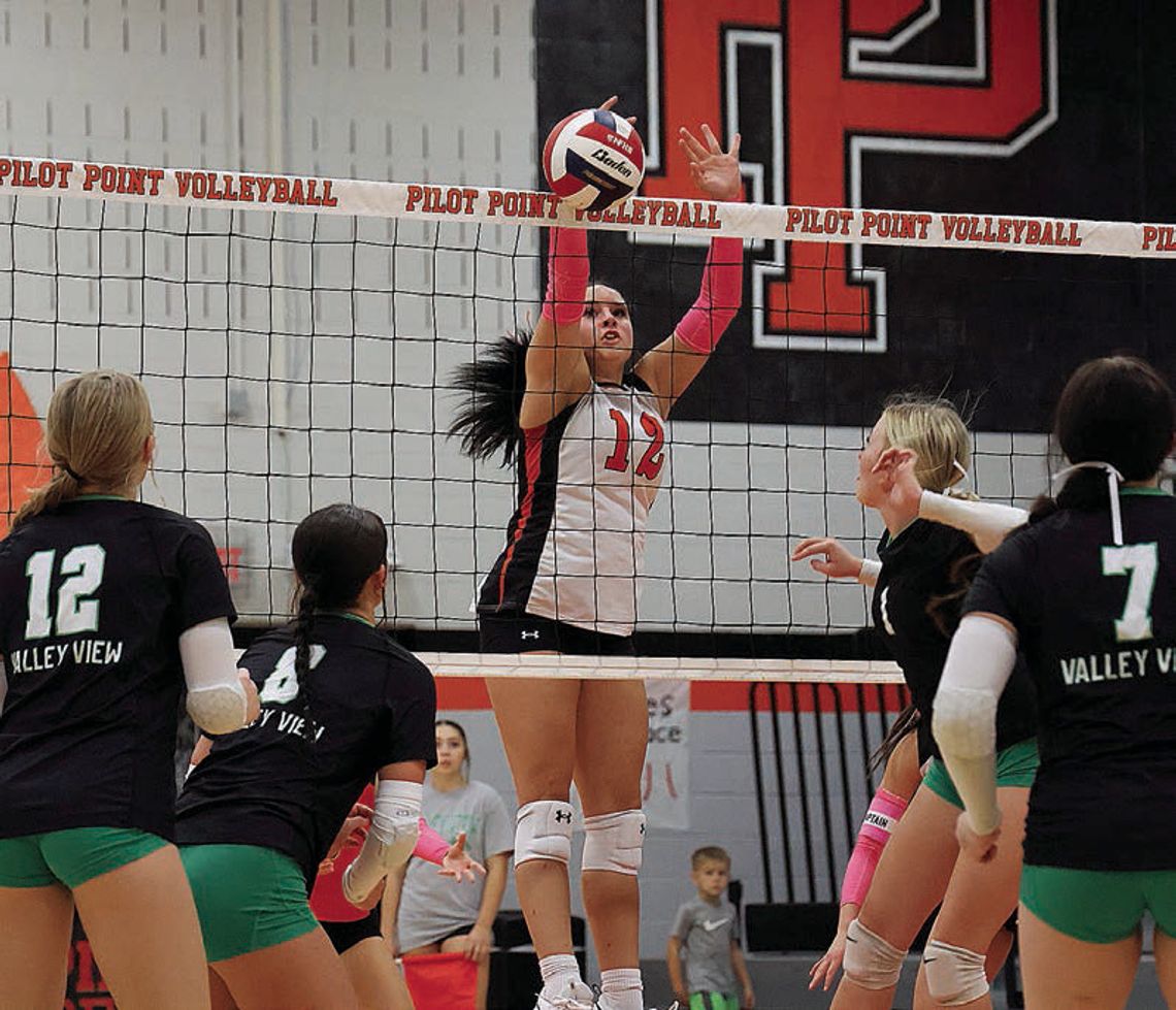 Lady Cats earn district win