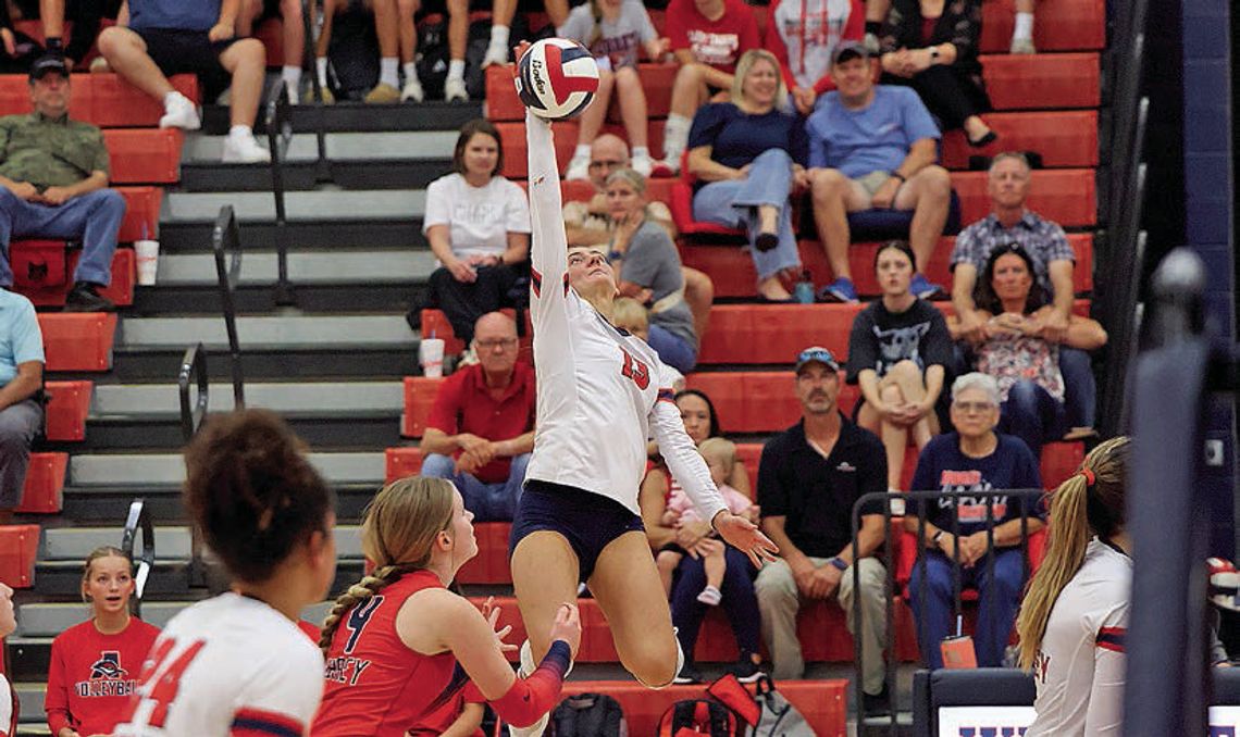 Lady Chaps down Lady Lions