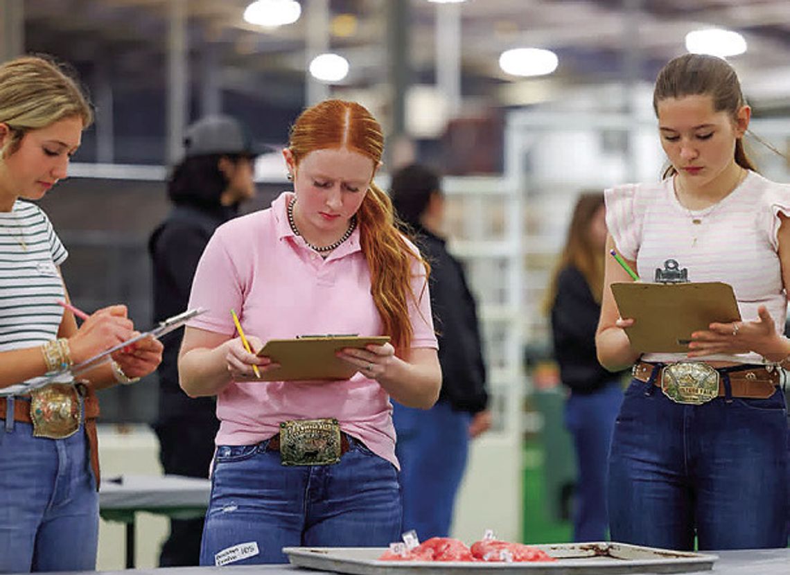 Local FFAs bring home awards