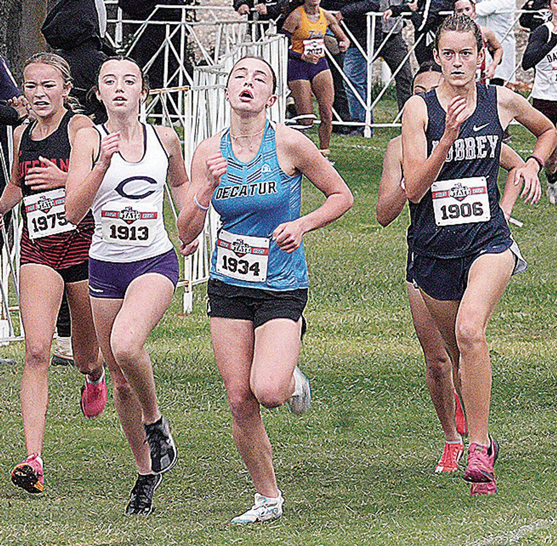 Runners finish across board