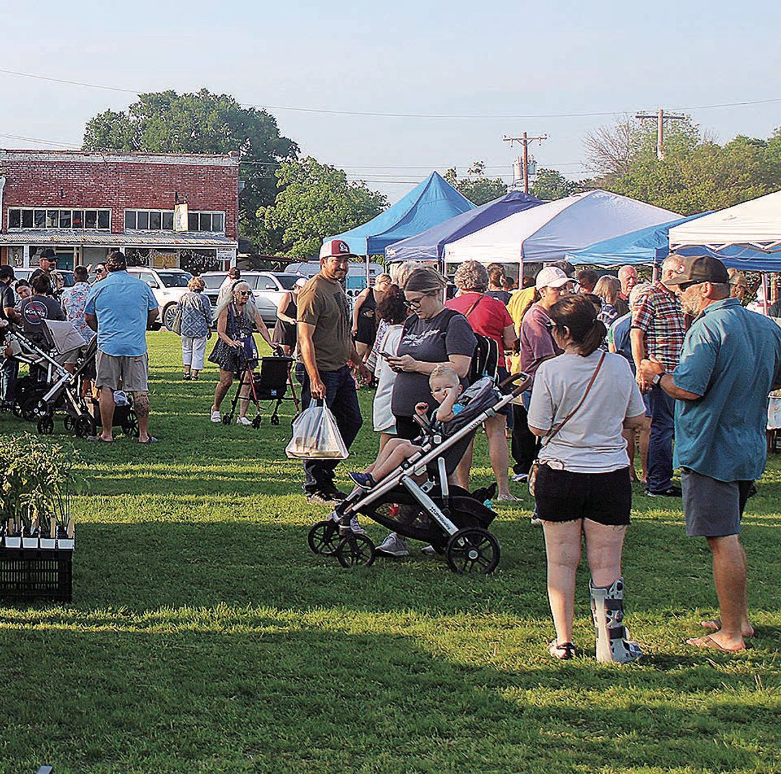 Tioga kicks off market