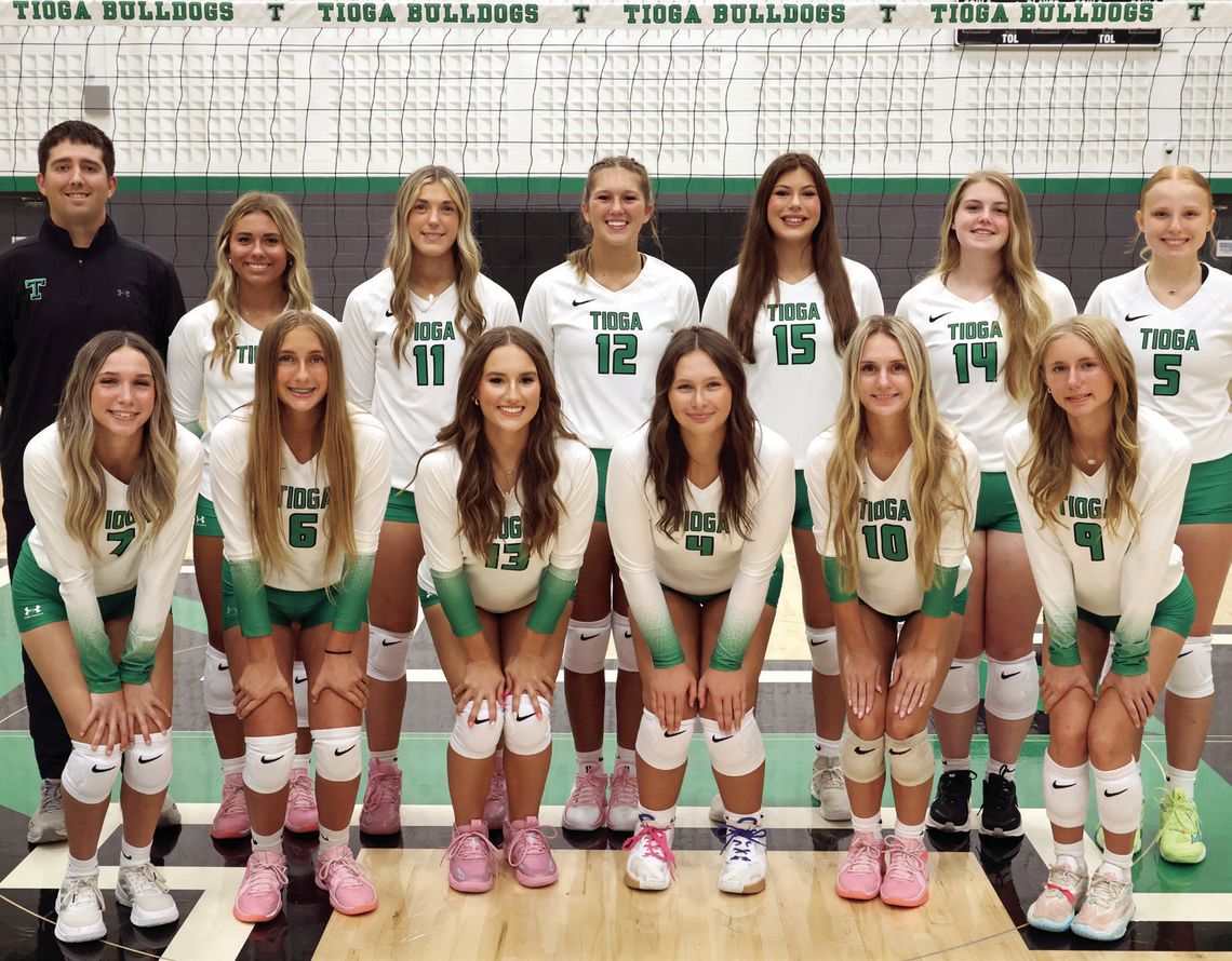 Tioga volleyball earns high district honors