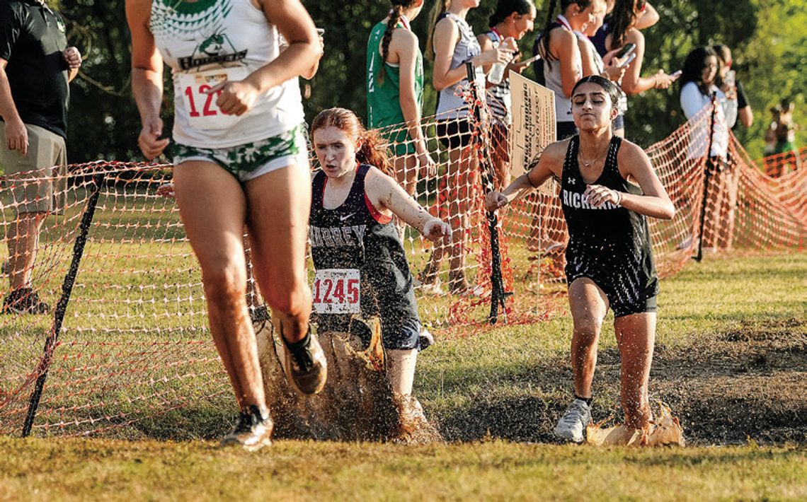 Tougher than mud